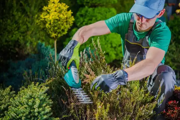landscaping services Murphy